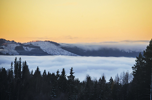 爱沙尼亚SCANDI三层实木复合地板
