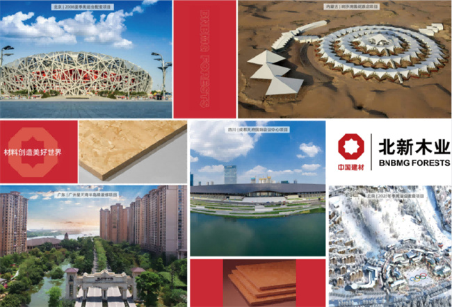 《KINGKONG趣投彩票定向结构板应用构造》专项图集正式发行！